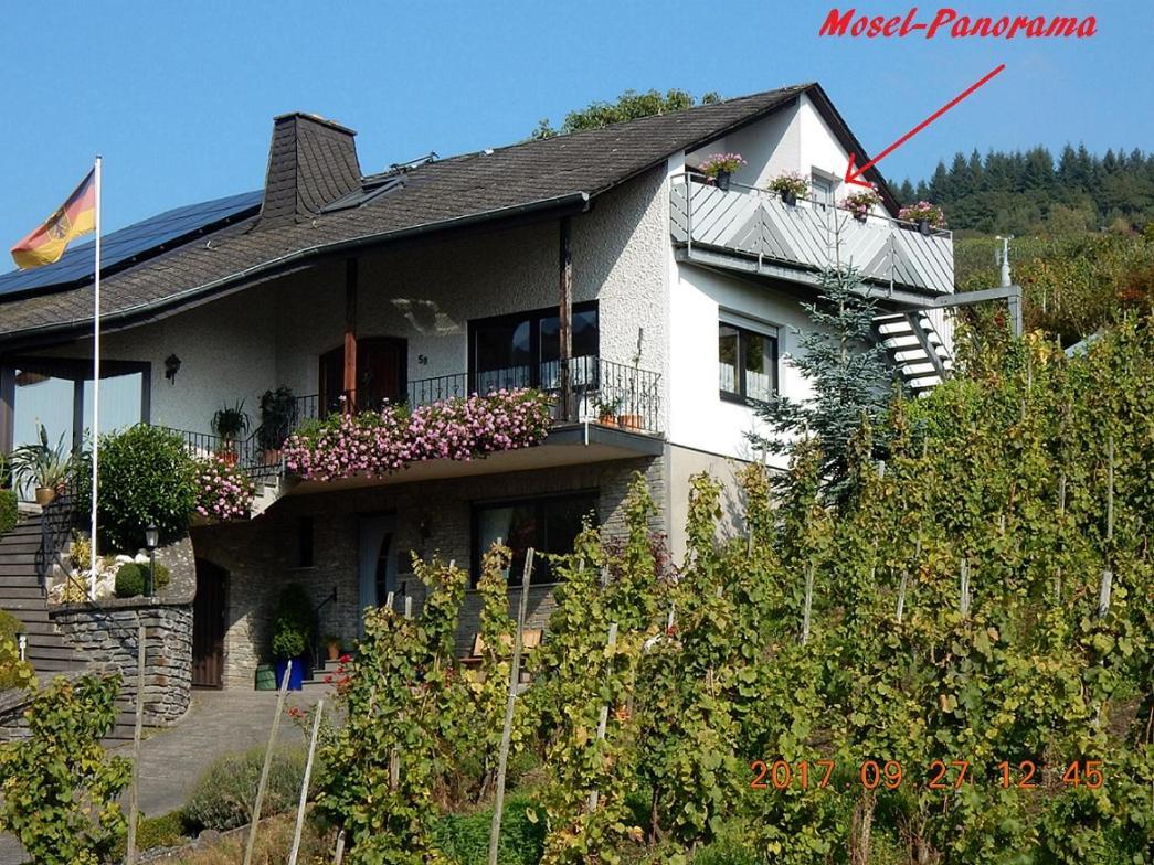 Mosel-Panorama Lejlighed Enkirch Eksteriør billede